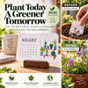 EverSprout Plantable Seed Calendar 2027 – Eco-Friendly Botanical Gift &amp; Grow Kit