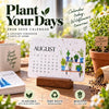 EverSprout Plantable Seed Calendar 2027 – Eco-Friendly Botanical Gift &amp; Grow Kit