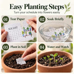 EverSprout Plantable Seed Calendar 2027 – Eco-Friendly Botanical Gift &amp; Grow Kit